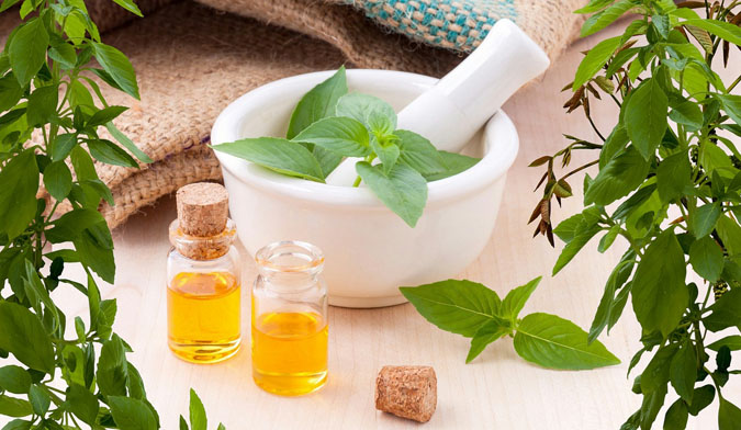 11 Best Ingredients for Herbal Bath Soak - Peppermint (The Grow Network)