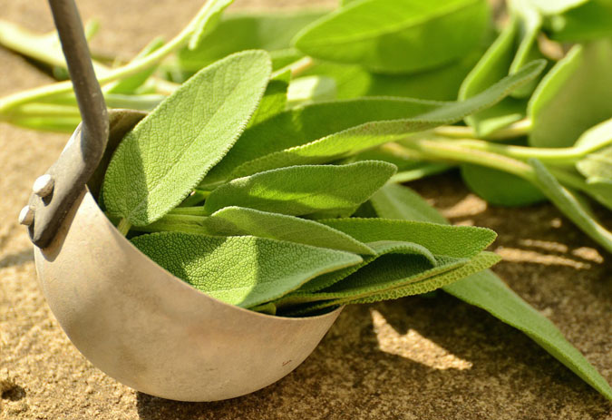 11 Best Ingredients for DIY Herbal Bath Soak - Sage (The Grow Network)