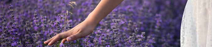 11 Best Ingredients for Herbal Bath Soak - Lavender (The Grow Network)