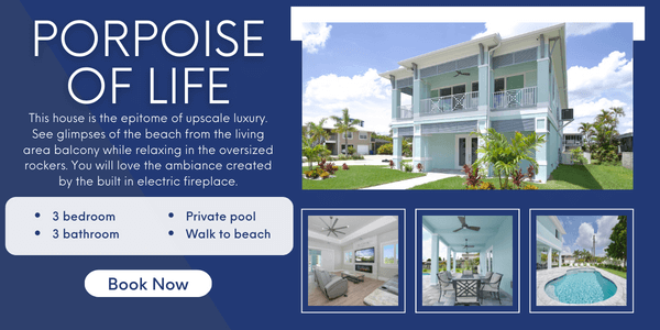 Preview image of Porpoise of Life vacation home with description.